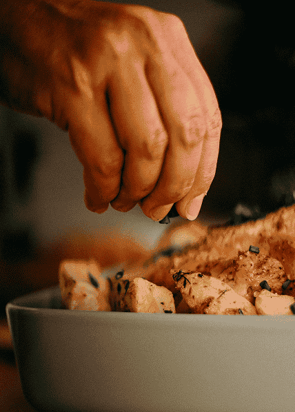 Close-up of gourmet food