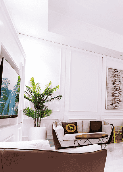 Minimalist living room with plant